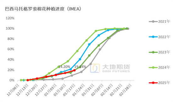 棉花：加关税威胁仍在，关注春节期间外盘对内盘指引 第80张
